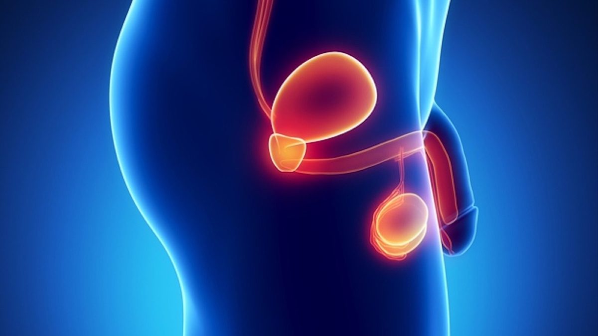 Cancers urologiques pris en charge à Casablanca par Dr Rita Bentahila