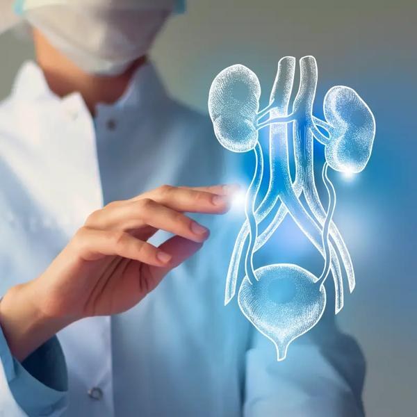 Cancers urologiques traitement Casablanca